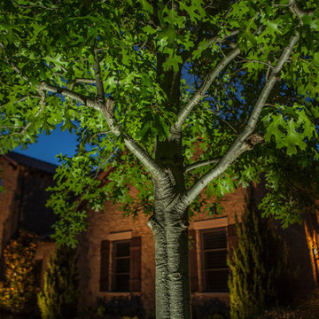 Low Voltage Up Lighting and Moon Lighting- Southlake