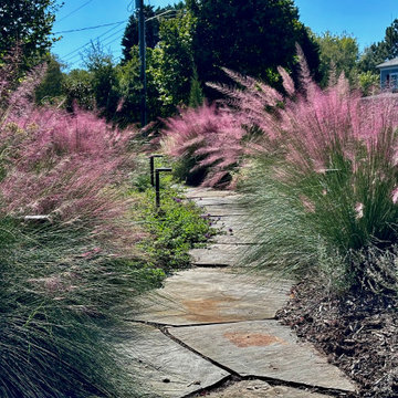 Concrete Sidewalk Becomes A Stroll Garden