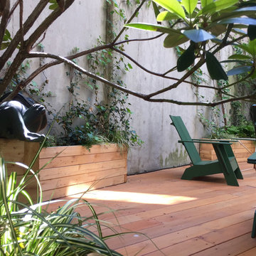 Carroll Gardens Duplex Landscapes