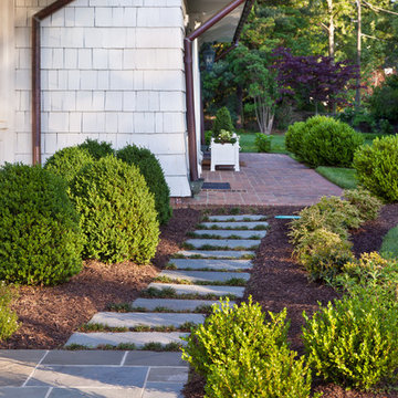Paths and Steps