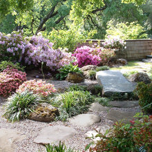 Rock Garden