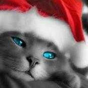 Rasean Dieter's photo