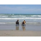Vici Bice's photo
