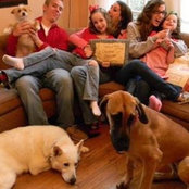 Dawn Farley's photo
