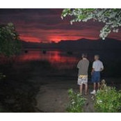 Dennis Fortier's photo