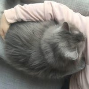 Foto von Natalie Northway