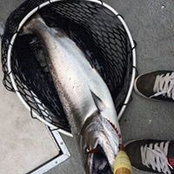 Ed Clarke's photo