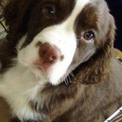Amy Ginley's photo