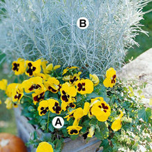 Container gardening