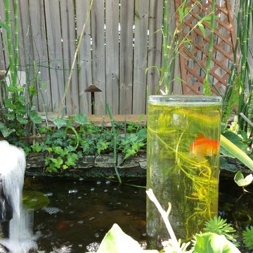 Outdoor Garden Pond