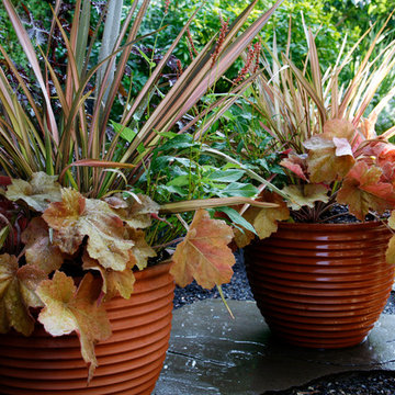 Potted Designs