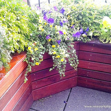 Outdoor planters by New York plantings