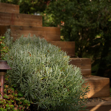 Woodland Rustic
