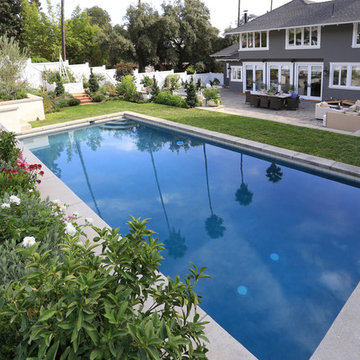 Palm Trees Reflect in the Calm Pool