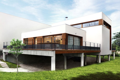 Idées déco pour une façade de maison contemporaine.