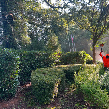 Professional Outdoor Landscaping & Property Maintenance