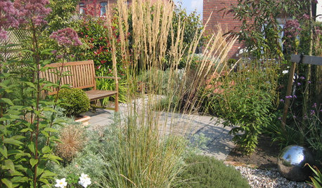 What the RHS Chelsea Flower Show Told Us About Our Gardens