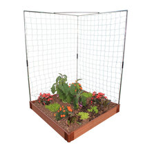 veggie garden