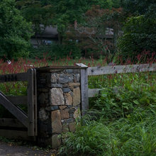Landscape/Design Ideas