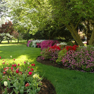 Shady Estate