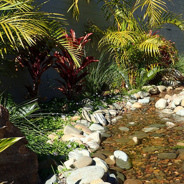 Tropical landscape design