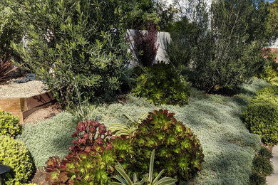 Design ideas for a landscaping in Los Angeles.