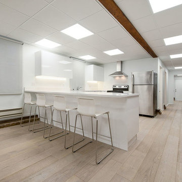 san francisco, california rental apartment, kitchen
