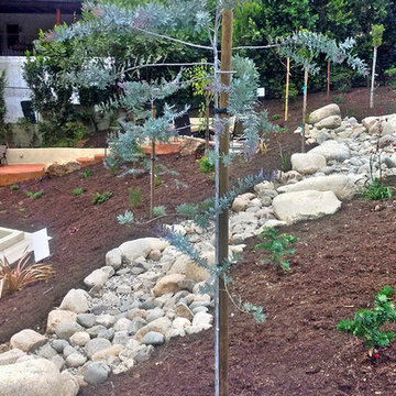 Hillside Landscaping Design--Backyard