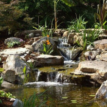 Waterfalls and Koi Pond Lifestyles