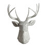 Silver With Silver Antlers