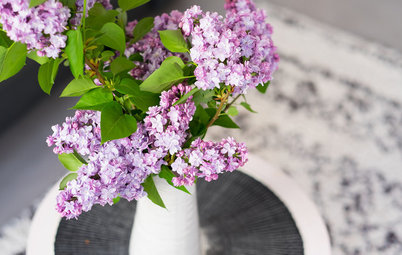 Get Lilacs! And 6 More Ways to Make the Most of This Weekend