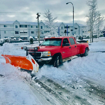 Snowplowing & salting
