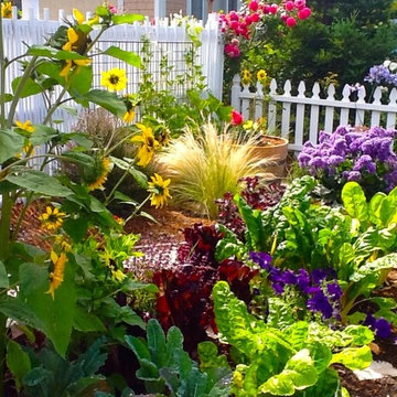 Front Yard Edible Garden in Foster City, CA