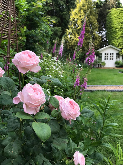 by Roses & Rolltops