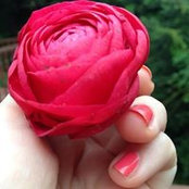 Flor Giangarrà's photo