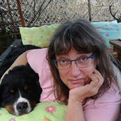 Foto de Karin Steigerwald
