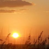Maribeth McGlynn's photo