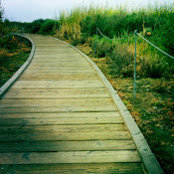 Tanya Dauderman's photo