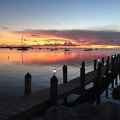 Joey Bass's photo