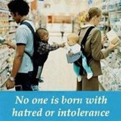 Amy Cheifetz's photo