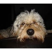 Gail Martin's photo