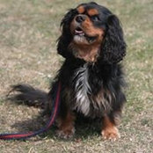 Micheline Rawley's photo