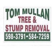 Tom Mullanさんの写真