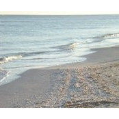 Amy Wolner's photo