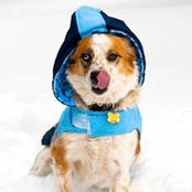 Remi Gibbs's photo