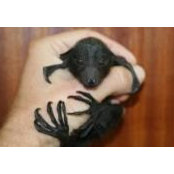Lee Chaiken's photo