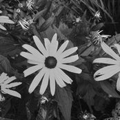 Verity Green's photo
