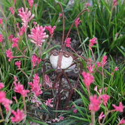 IdealMow Lawns:  Carex Pansa - Garden Statues And Yard Art