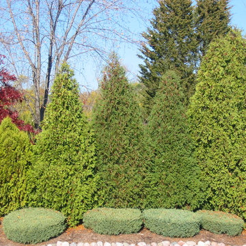 Tree Service
