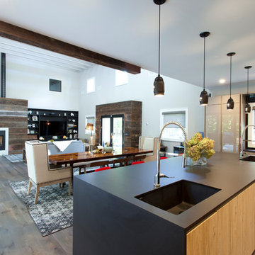 Colaneri Contemporary Farmhouse